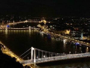 Budapest Winter Cruise Night and Dinner