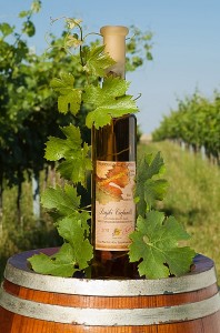 Zierfandler Hungarian White Wine