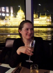 Budapest Dinner Cruise Bar Piano – Views